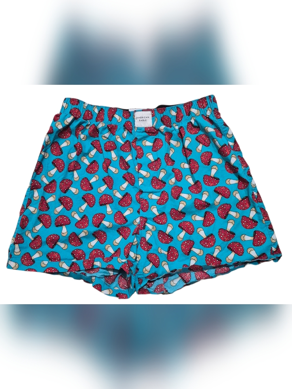 American Eagle Blue Red Mushroom Boxer Shorts